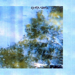 Death Chants - Dead Birds