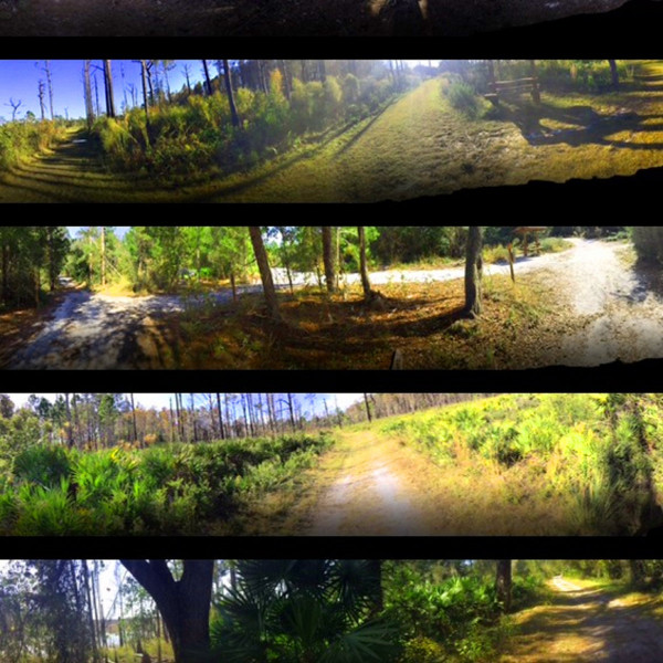 Decubellis Dreams - Rancho Del Rio