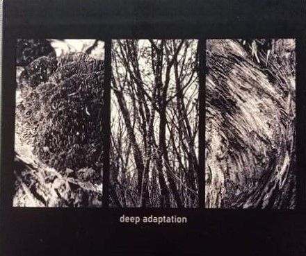 Deep Adaptation - out of tune