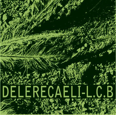 Delere Caeli - Posizione Percettiva