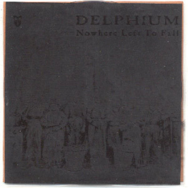 Delphium - snowhill-x