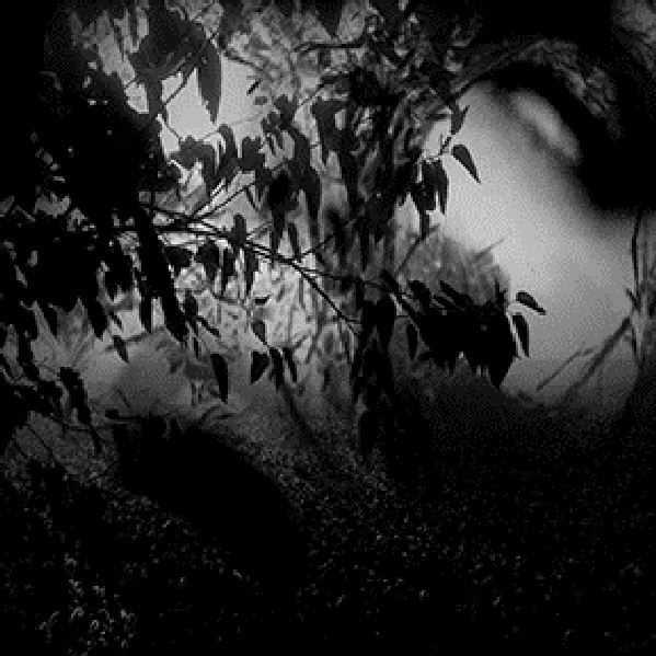 Demonologists - Vats of Blood