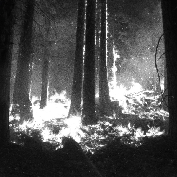 Den Sorte Død - Ensomhedens Slette