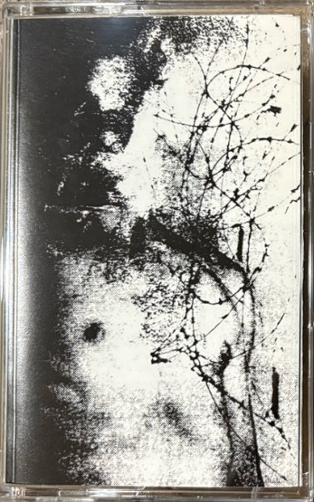 Desolation Colony - Our Perfect Understanding