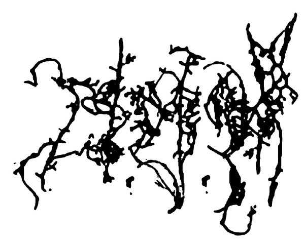 Destruction Of Musicality - Tudo Acabado