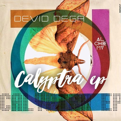 Devid Dega - Zero Theorem - Marrie Remix