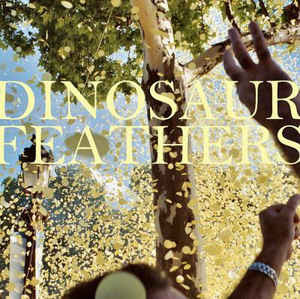 Dinosaur Feathers - Family Waves