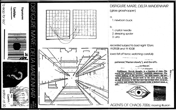 Disfigure Mare - Newborn Buck