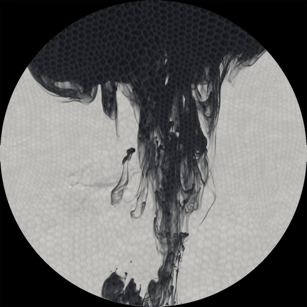 Divide & Oisel - AD2