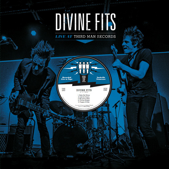 Divine Fits - Would That Not Be Nice
