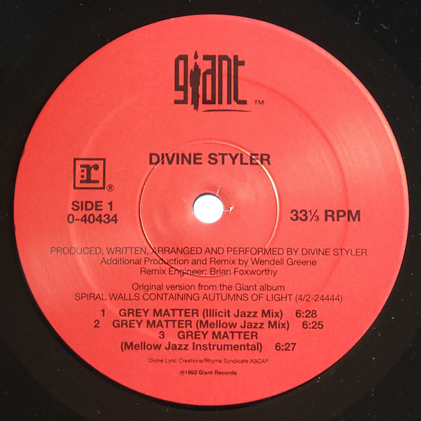 Divine Styler - Am I An Epigram For Life?