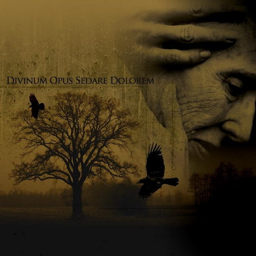 Divinum Opus Sedare Dolorem - Liquid Oblivion I - Emerald