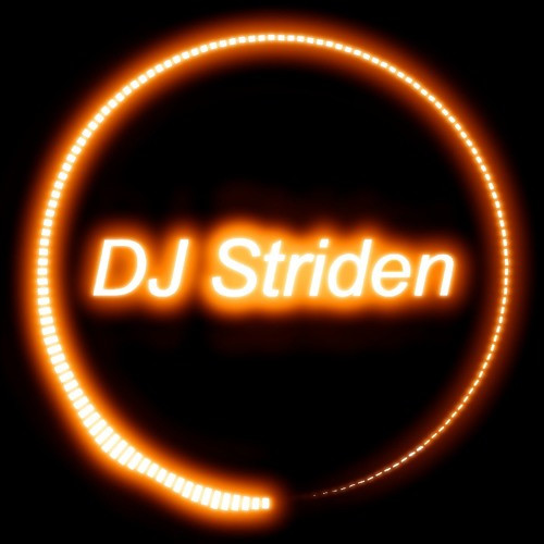 Dj Striden - Level Three