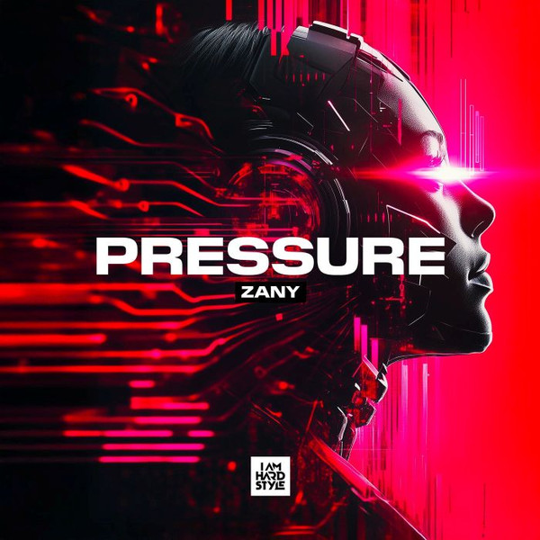 Dj Zany - Pure