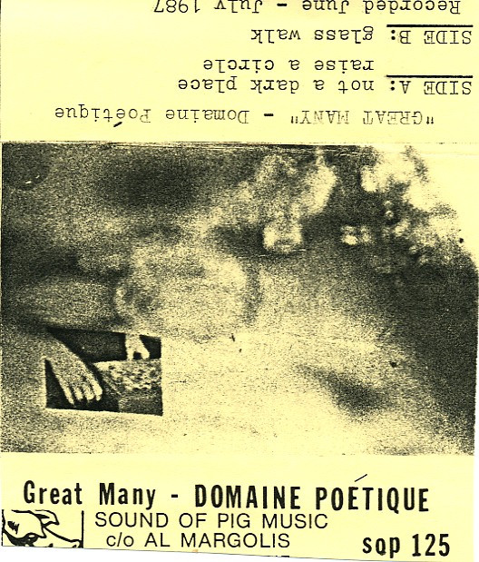 Domaine Poétique - Not A Dark Place
