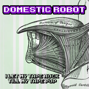 Domestic Robot - Planet X