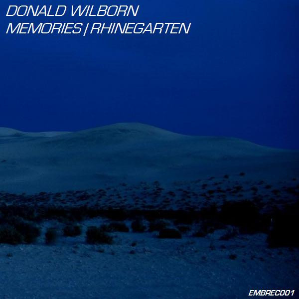 Donald Wilborn - Beachcomber