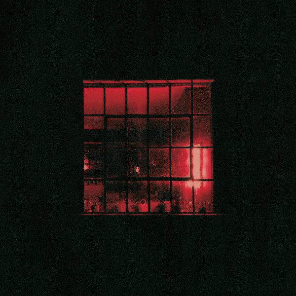 Dottie - Ranger