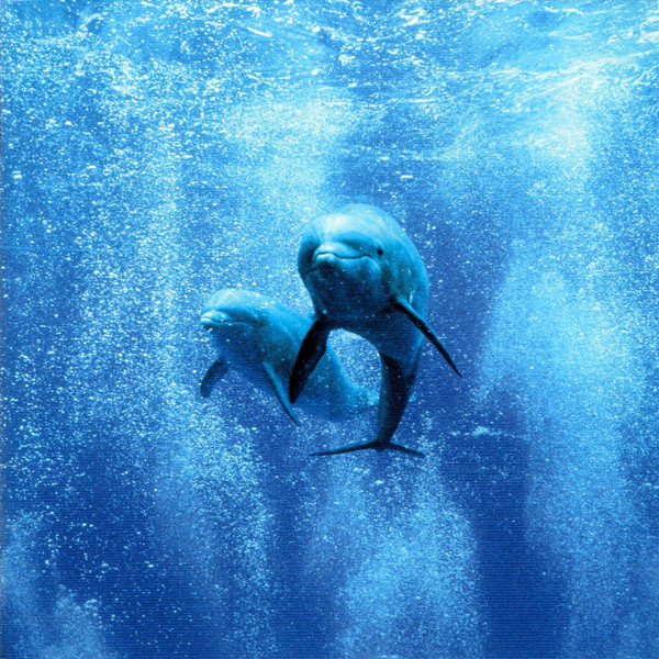 Dream Dolphin - Strawberry Shake
