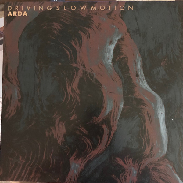 Driving Slow Motion - Leaves