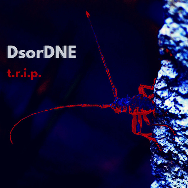 DsorDNE - Delitto E Passione