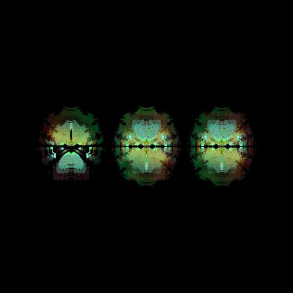 Dunal - Duck on water