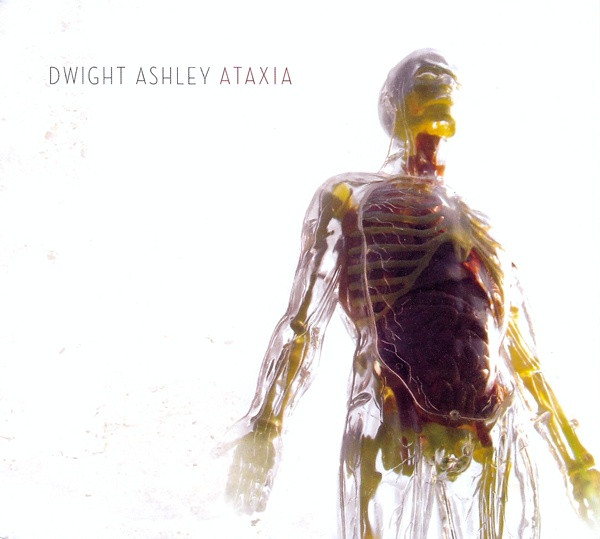 Dwight Ashley - The Mighty Fallen Rust In The Sun