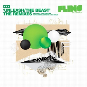 Dzi - Enter & Break