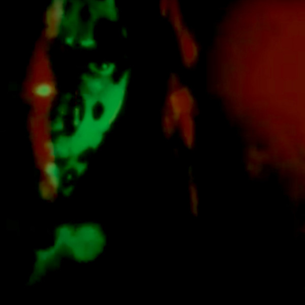 EXIT ELECTRONICS - NO MARK