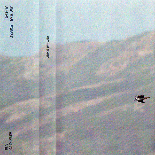 Earn - Stray