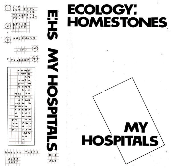 Ecology: HomeStones - Once I Step Behind The Curtain, I Never Come Out the Same