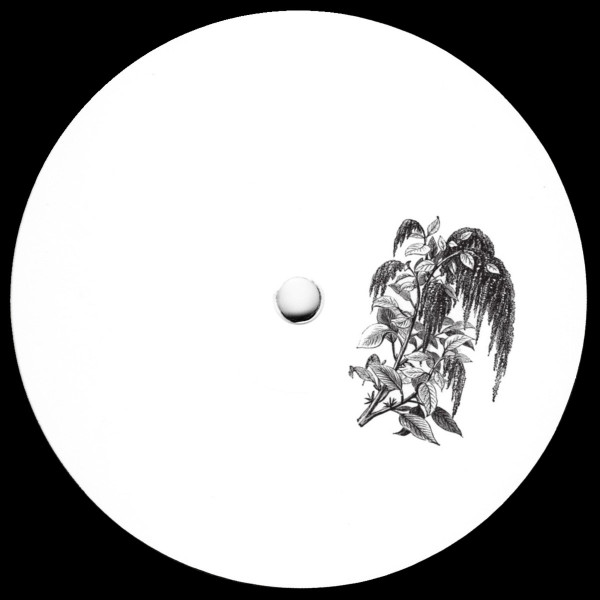 Egzotikka - Tu Pasakei