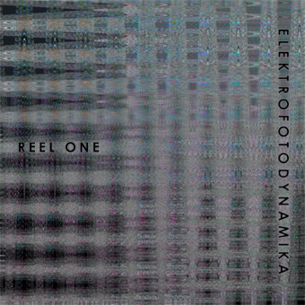 Elektrofotodynamika - Animals in slow motion