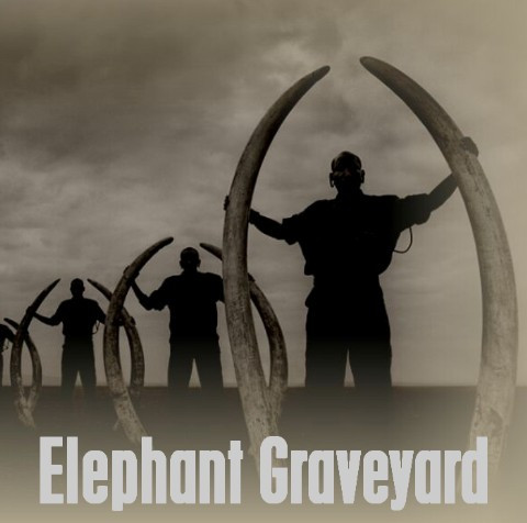 Elephant Graveyard - Wretched Defilement
