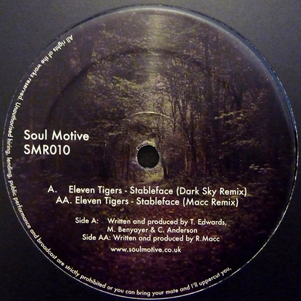 Eleven Tigers - Open Mirror