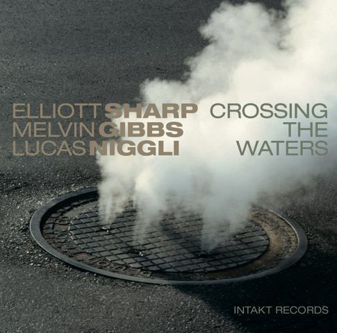 Elliott Sharp, Melvin Gibbs, Lucas Niggli - Flow Fever
