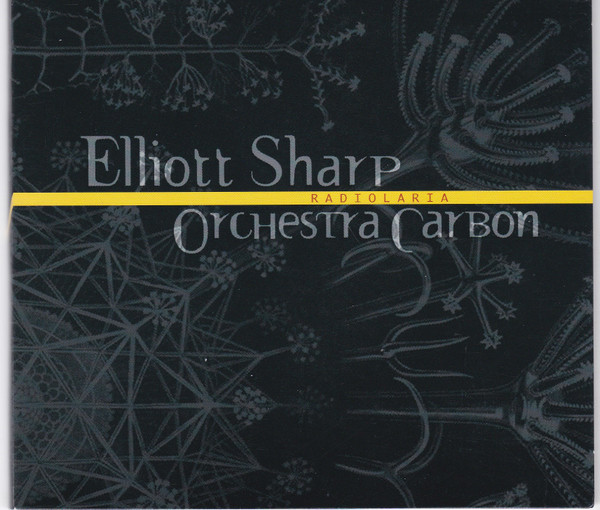 Elliott Sharp & Orchestra Carbon - SyndaKit Part 2