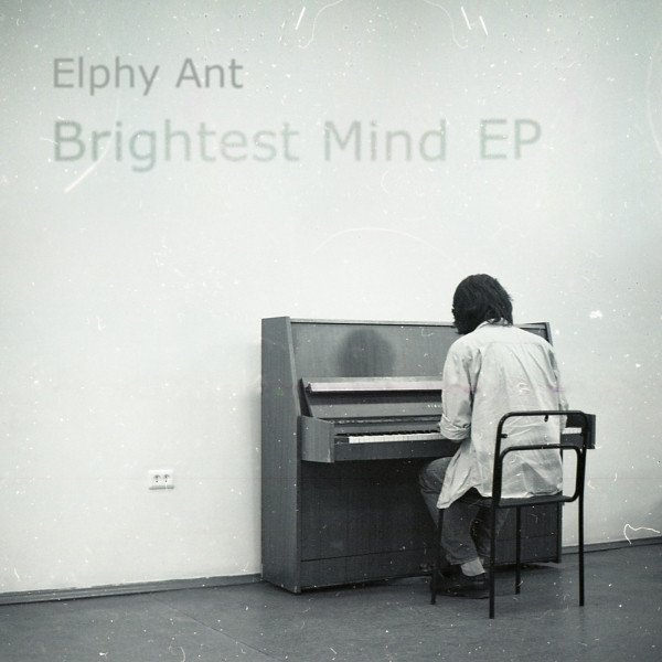 Elphy Ant - Sunny smile