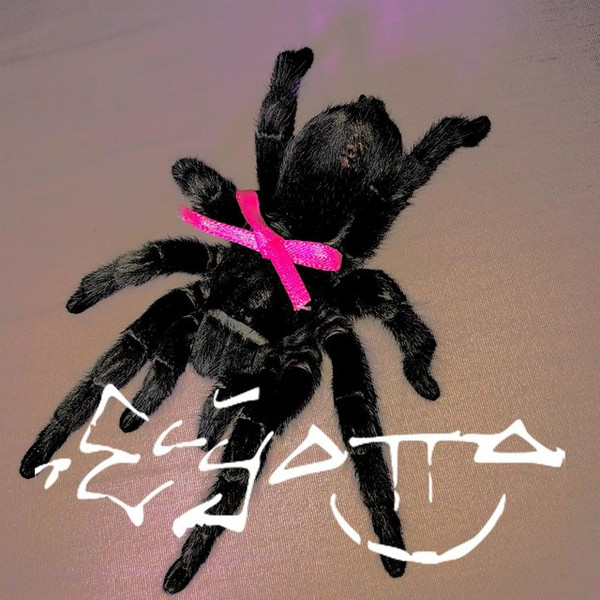 ElyOtto - TEETH!