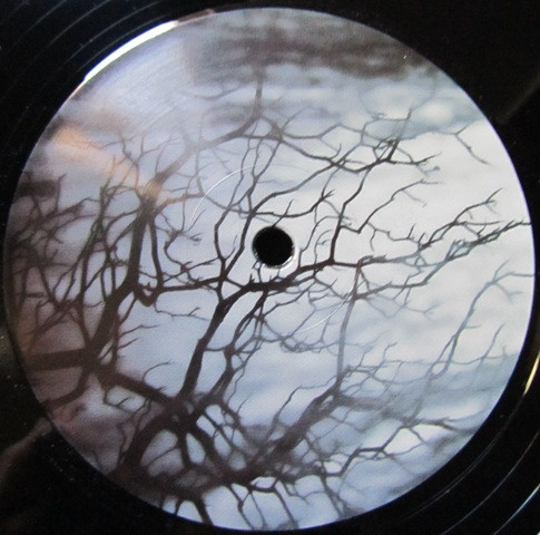 Emad Parandian - Kamanche