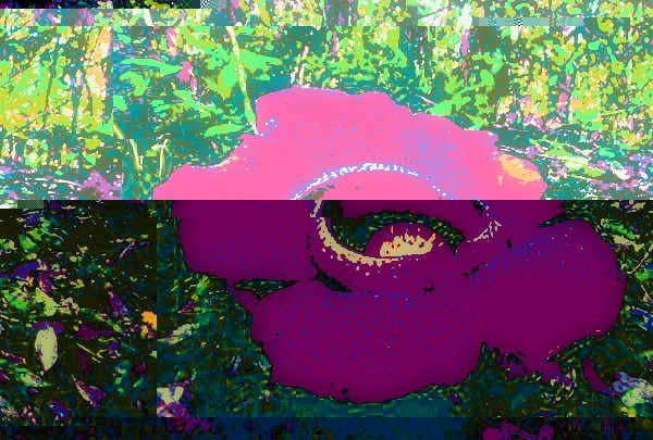 Error 1991 - Red Rat