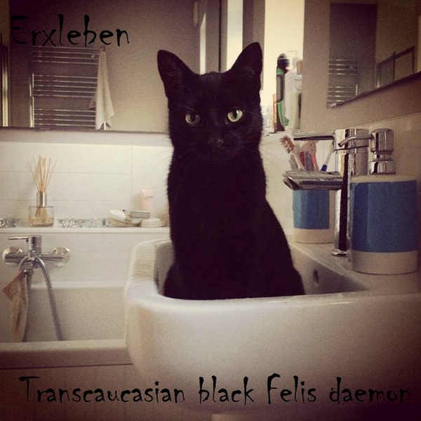 Erxleben - fēlēs
