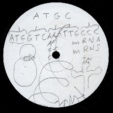 Ester Brinkmann - 02-8'22''