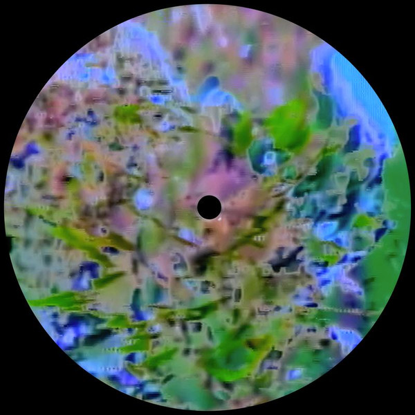 Etari - Euphoric Disclaimer