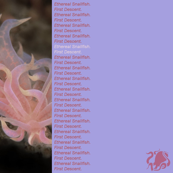Ethereal Snailfish - I