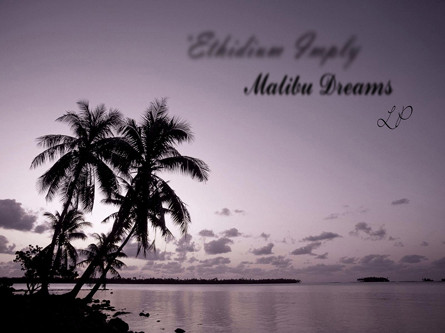Ethidium Imply - Embrace
