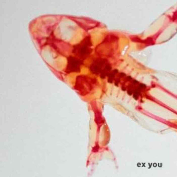 Ex You - MISSING