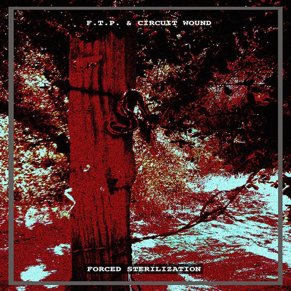 F.T.P. & Circuit Wound - Everybody Was Operating On the Fact That This Was A Perfectly Reasonable Thing To Do.
