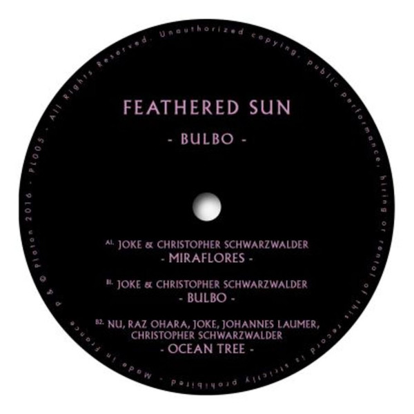 FEATHERED SUN - How Strange - Nicola Cruz Remix