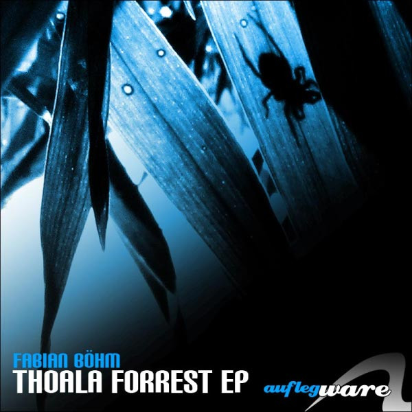 Fabian Böhm - mossa moas